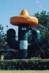 saguaro-with-sombrero